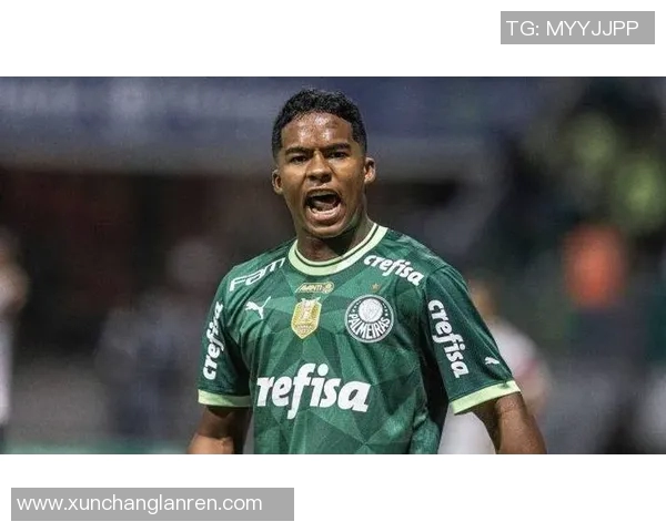 迪巴拉的崛起与挑战:从阿根廷天才到欧洲足球新星的奋斗之路