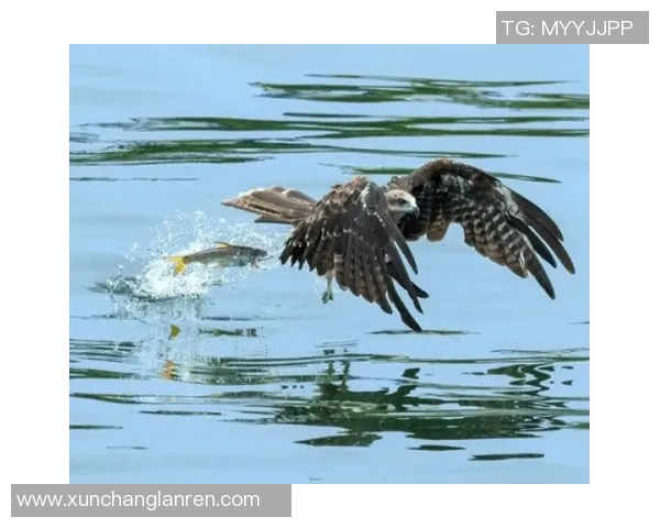 松桃县足球比赛精彩直播视频全程回顾与精彩瞬间分享